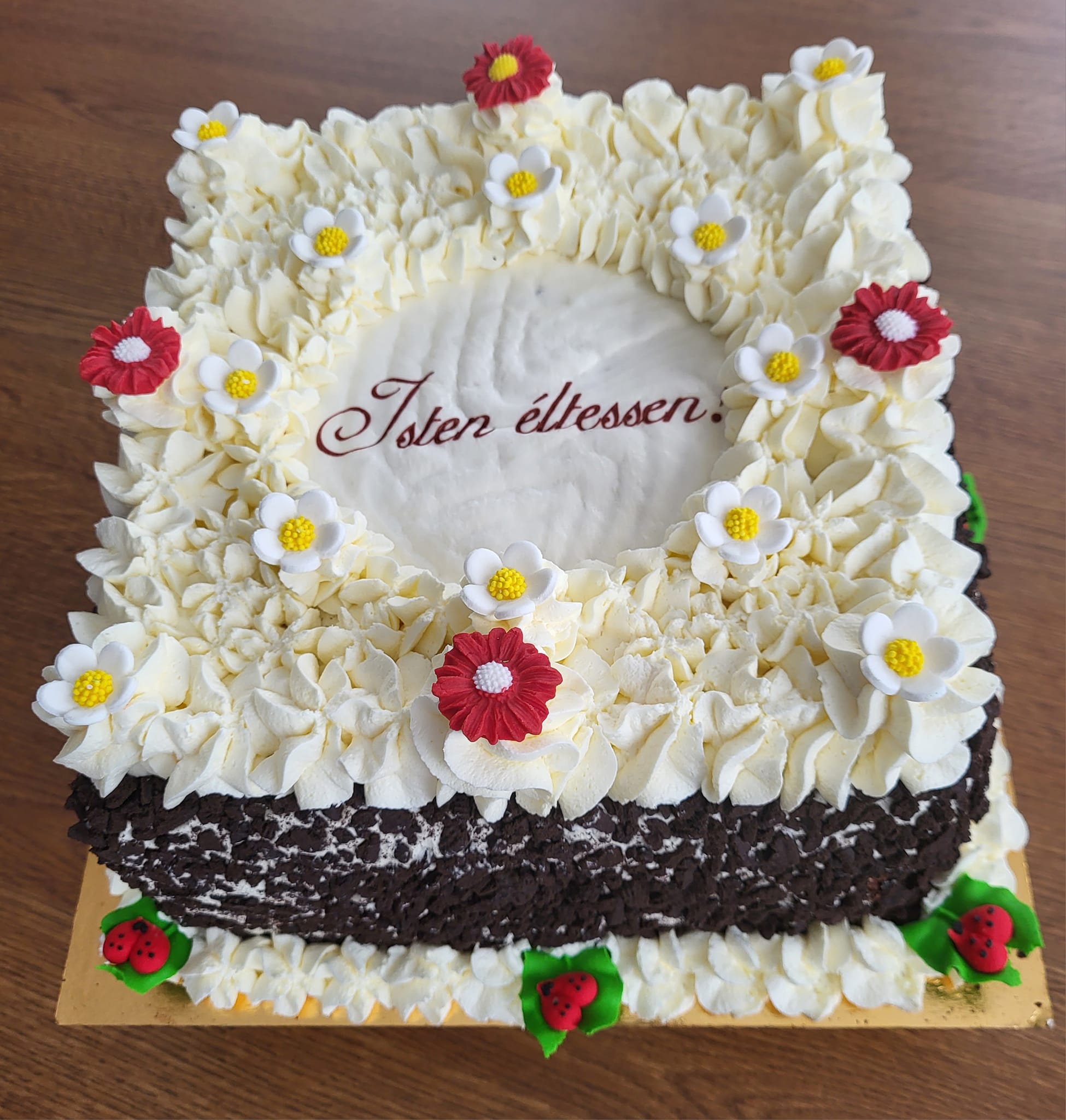 328301767 845724316495697 8899265892005262986 n 6234824929883132