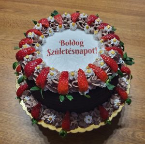 329231168 915181829807060 6684880358523229315 n 6263369383695353